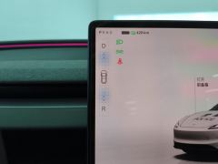 Tesla Model 3 634km Rear-Wheel Drive Edition - ფოტო 19