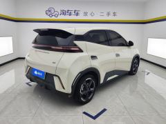 BYD Seagull 305km Free Version - ფოტო 2