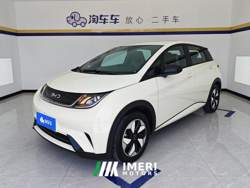 BYD Dolphin 420km Free Version - ავტომობილი ჩინეთიდან