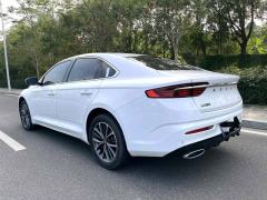 Geely Xingui Xingrui 2.0T Prestigious Edition - фото 9