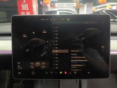 Tesla Model Y 554km Rear-Wheel Drive Edition - ფოტო 16