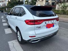 Haval M6 PLUS 1.5T Version - ფოტო 6