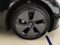 Tesla Model 3 556km Rear-Wheel Drive Edition - фото 6