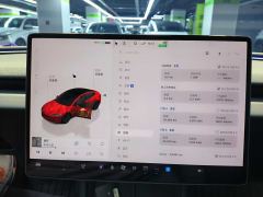 Tesla Model 3 606km Rear-Wheel Drive Edition - ფოტო 7