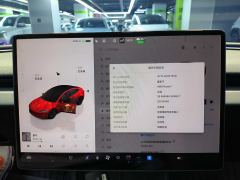 Tesla Model 3 606km Rear-Wheel Drive Edition - ფოტო 8