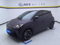 BYD Seagull 305km Free Version - ფოტო 1