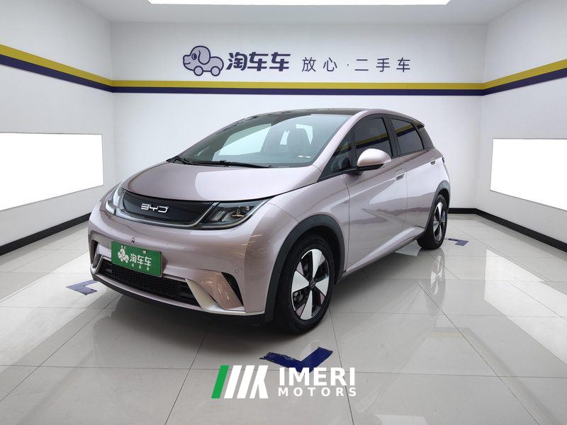 BYD Dolphin 420km Stylish Edition - ავტომობილი ჩინეთიდან