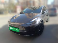 Tesla Model Y 554km Rear-Wheel Drive Edition - photo 1