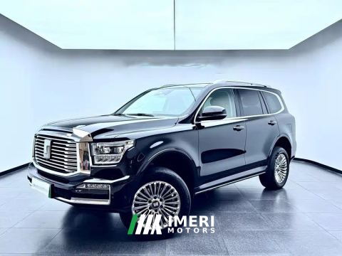 2025 Tank 500 New Energy 2.0T Hi4-Z - car from China