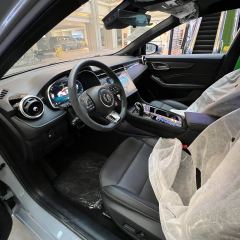 MG6 1.5T XLINE Shark Hunter Edition - ფოტო 5