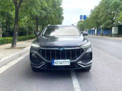 Oshan X5 Edition 1.5T Version - фото 2