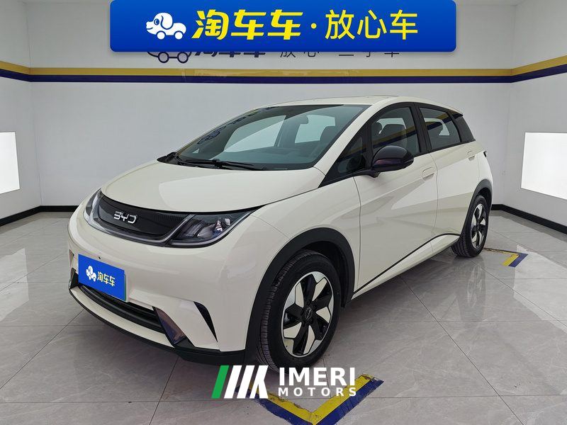 BYD Dolphin 420km Free Version - car from China