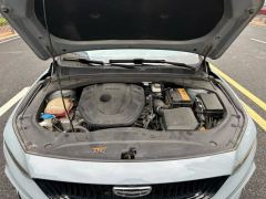 Geely Xingui 2.0T Edition - фото 18