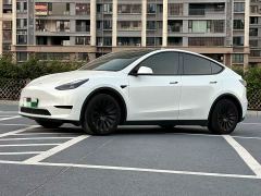 Tesla Model Y Rear-Wheel Drive - ფოტო 1