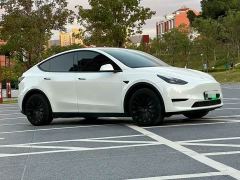 Tesla Model Y Rear-Wheel Drive - ფოტო 3