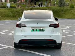 Tesla Model Y Rear-Wheel Drive - ფოტო 5