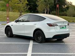 Tesla Model Y Rear-Wheel Drive - ფოტო 6