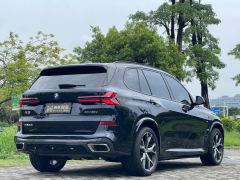 BMW X5 xDrive30Li Deluxe VersionM - ფოტო 6