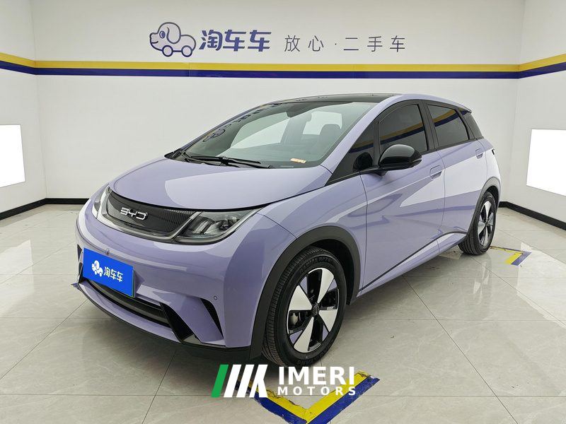 BYD Dolphin 420km Stylish Edition - ავტომობილი ჩინეთიდან