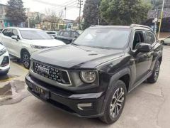 Haval Great Wall Big Dog Great Wall Dog 2.0T Two-wheel drive Chinese hunting dog version - ფოტო 1