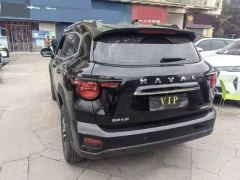 Haval Great Wall Big Dog Great Wall Dog 2.0T Two-wheel drive Chinese hunting dog version - ფოტო 8