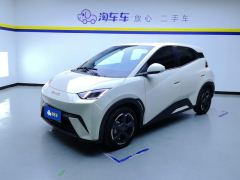 BYD Seagull 305km Free Version - photo 1