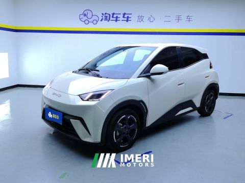 2023 BYD Seagull 305km Free Version - автомобиль из Китая