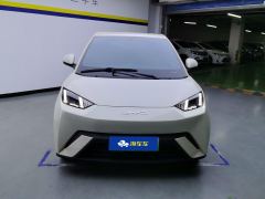 BYD Seagull 305km Free Version - photo 3