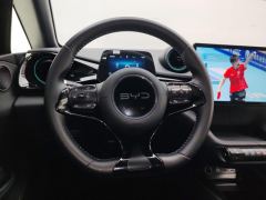 BYD Dolphin 420km Free Version - ფოტო 18