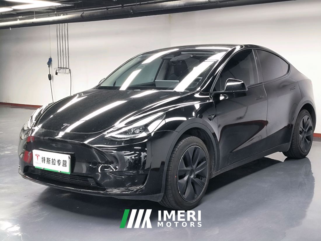 Tesla Model Y 554km Rear-Wheel Drive Edition - car from China