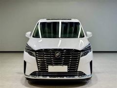 Buick GL8 652T Luxury Version 7 - фото 2