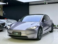 Tesla Model 3 606km Rear-Wheel Drive Edition - фото 1