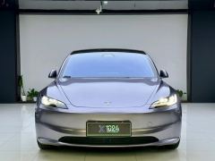 Tesla Model 3 606km Rear-Wheel Drive Edition - фото 2