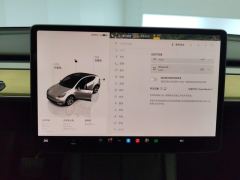 Tesla Model Y 545km Rear-Wheel Drive Edition - ფოტო 20