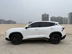 Jetour Jietu Dasheng 1.5T Double Clutch Deluxe Edition - фото 11