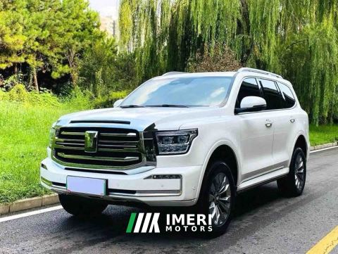 2023 Tank 500 New Energy 2.0T Hi4-T - car from China