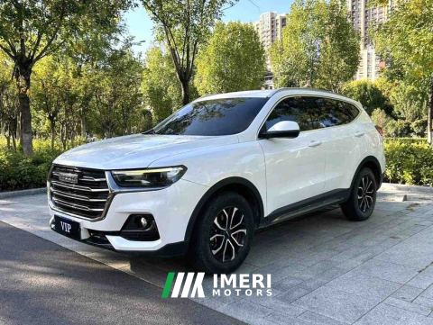 2021 Haval H6 Guochao Edition 1.5T 2WD Urban Edition - car from China