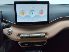 BYD Seagull 305km Free Version - ფოტო 17