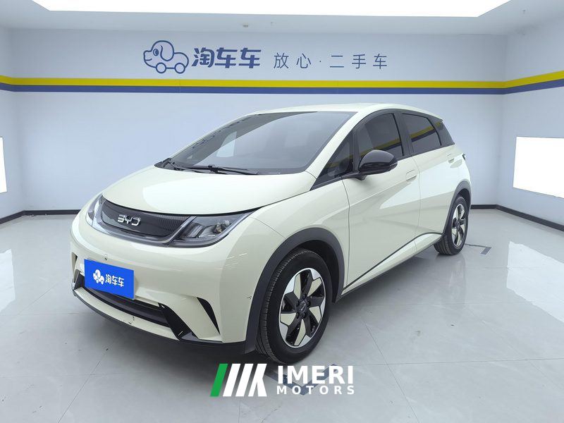 BYD Dolphin 420km Free Version - ავტომობილი ჩინეთიდან