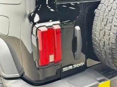 Tank 300 2.0T Conquistador Gasoline - фото 11