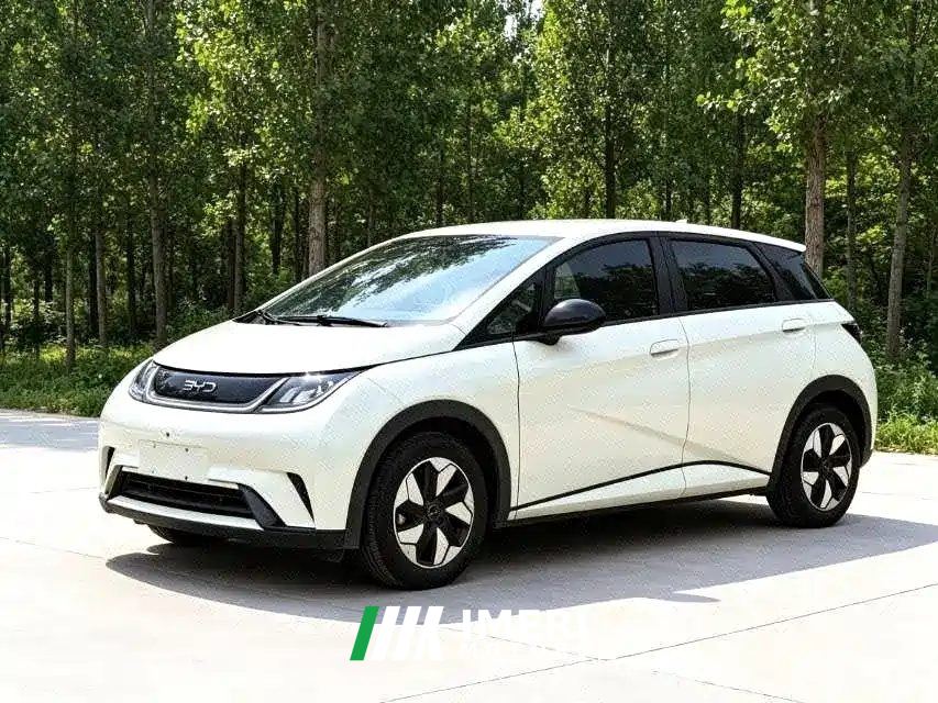 BYD Dolphin 420km Free Version - ავტომობილი ჩინეთიდან