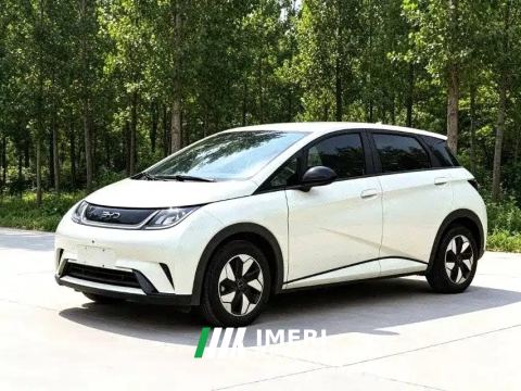 2025 BYD Dolphin 420km Free Version - автомобиль из Китая