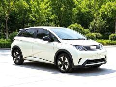BYD Dolphin 420km Free Version - ფოტო 3