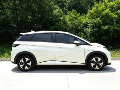 BYD Dolphin 420km Free Version - ფოტო 4