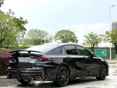 GAC Chuanqi Shadow Leopard Shadow Leopard R 400T Automatic Max Version - фото 2