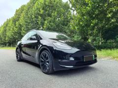 Tesla Model Y Long Range AWD - photo 1