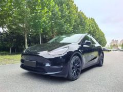 Tesla Model Y Long Range AWD - photo 3