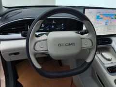 Geely Star Wish 310km Edition - ფოტო 18