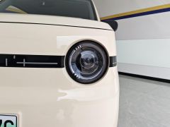 Geely Galaxy Panda mini 210km Yuanqi Bear - photo 4