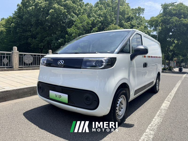 Maxus Dà Ná V1 305km Edition - car from China